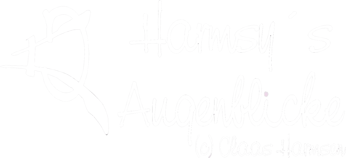 Harmsy´s Augenblicke